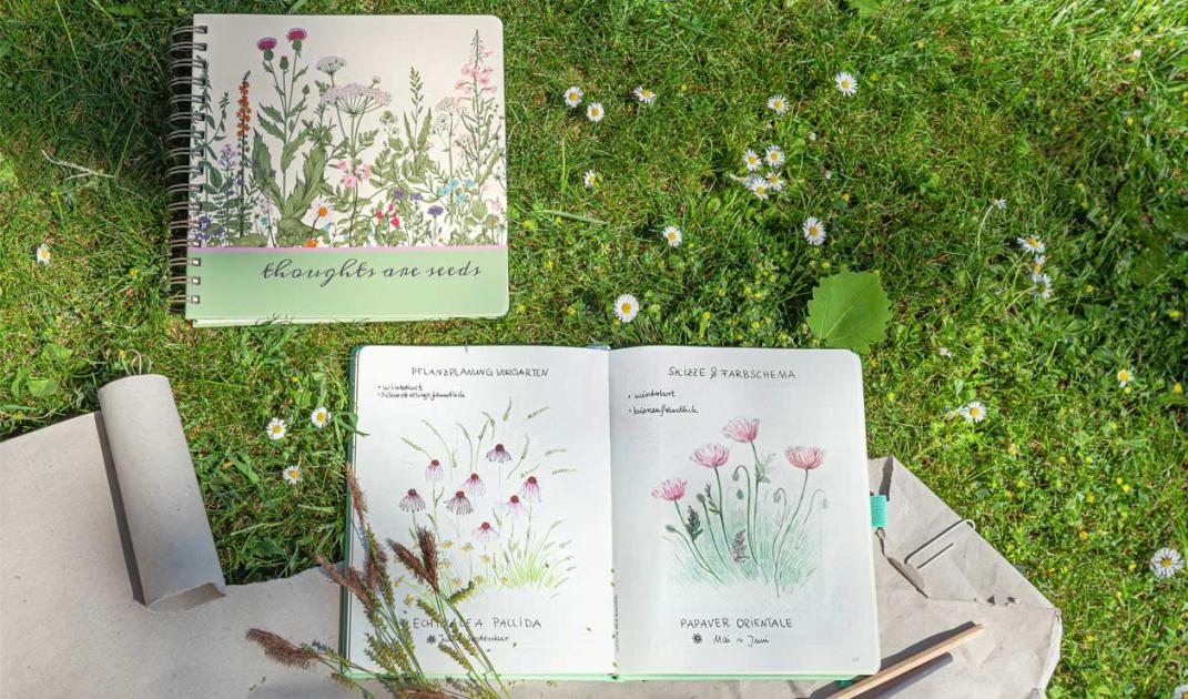 Nature Journaling mit SIGEL – Kreativität im Rhythmus der Natur | News ...