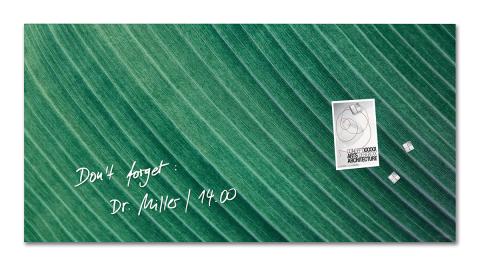 GL371-Glasmagnetboard-artverum-matt-Palm-Leaf.jpg