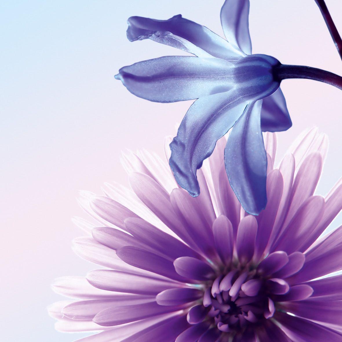 DP903-A.jpg