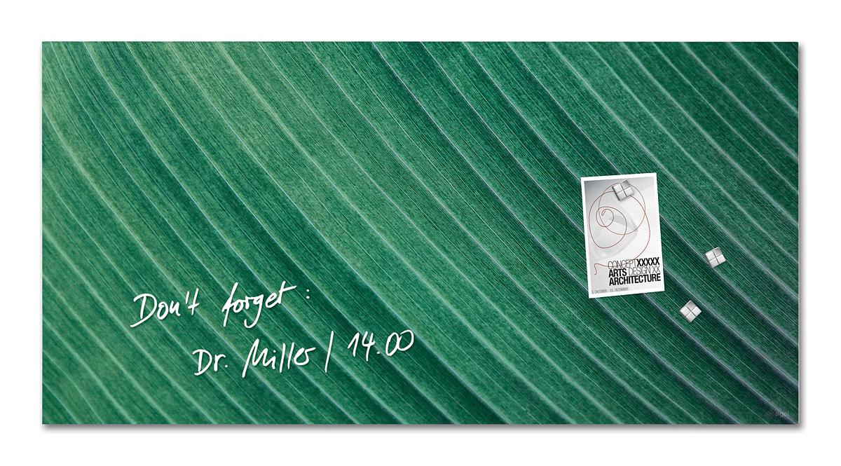 GL371-Glasmagnetboard-artverum-matt-Palm-Leaf.jpg