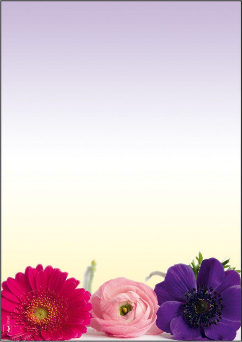 Motivpapier Herbst Rahmen 100 Blatt A4 Briefpapier