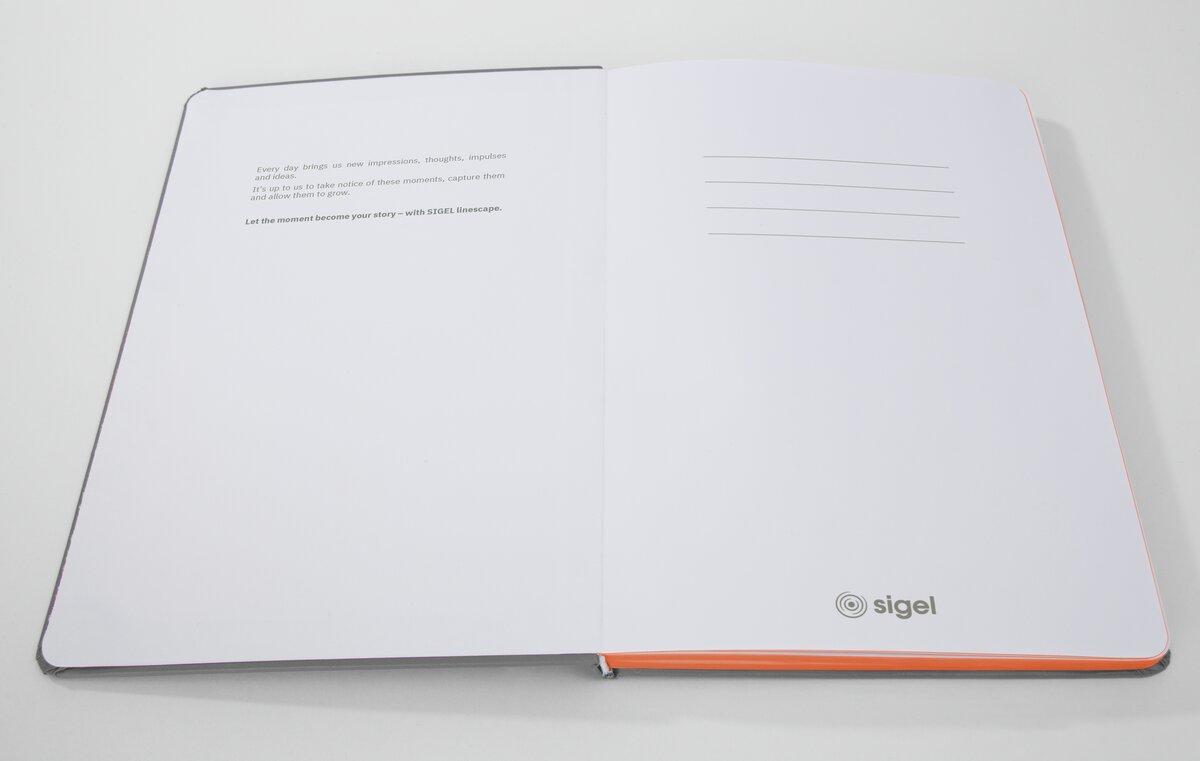 Linescape-LS200-hellgrau-orange-Story.jpg