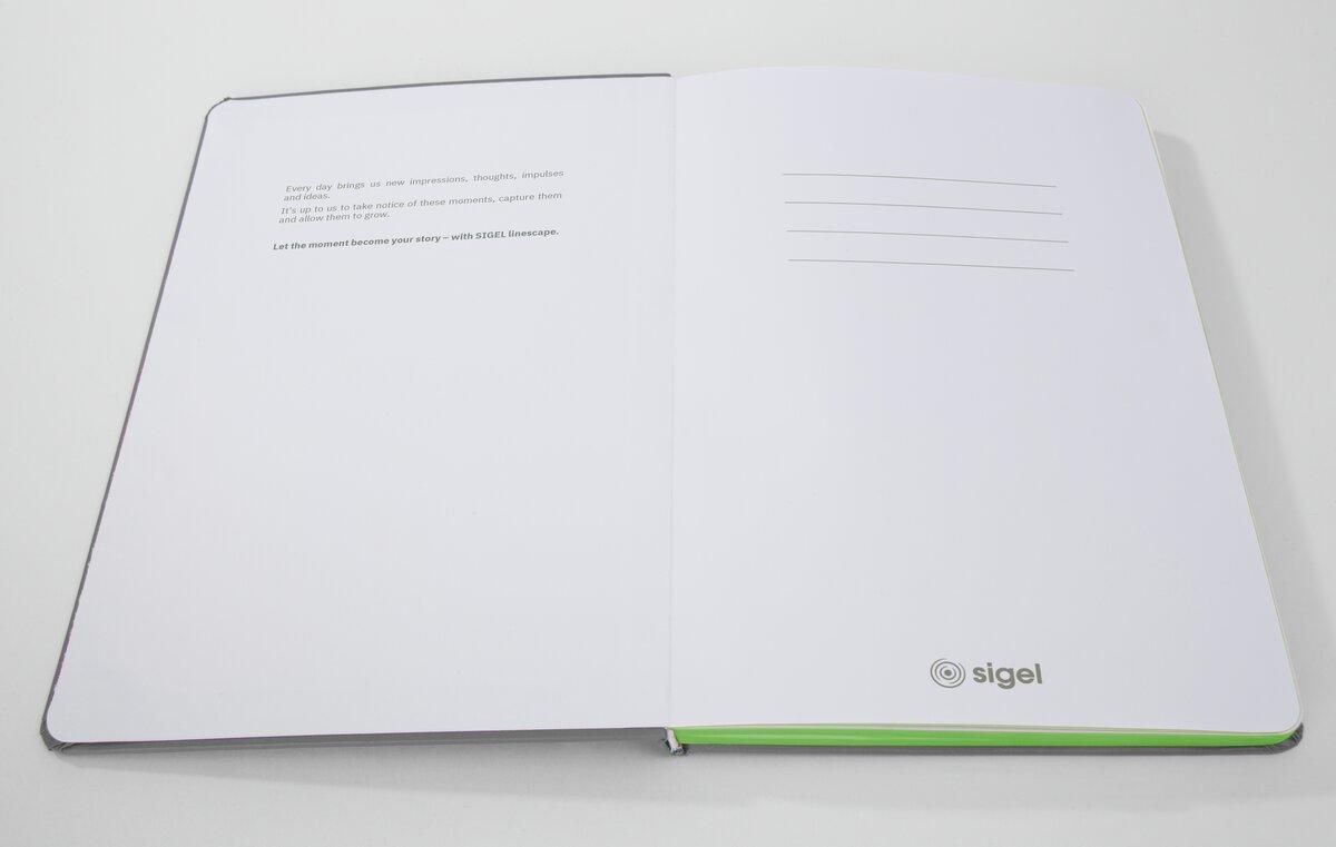 Linescape-LS201-hellgrau-lime-Story.jpg