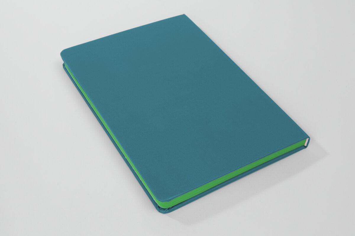 Linescape-LS204-blau-kiwi-Rückseite.jpg