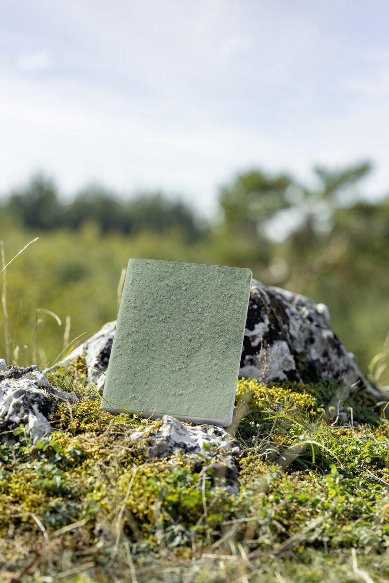 Grünes Notizbuch auf Felsen, umgeben von Moos Hintergrund: verschwommenes Grün