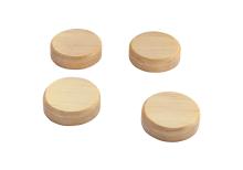 BA210-master-magnete-rund.jpg