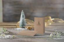 DS075-Karte-Umschlag-Kraft-Christmas-with-apples-Ambiente.jpg