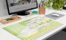 HO307 2024 Ambiente-01.jpg