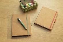 Jolie-Pure-DIY-Gruppenbild-01.jpg