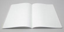Linescape-Heft-LS301-hellgrau-lime-offen.jpg