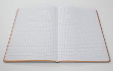 Linescape-LS200-hellgrau-orange-offen.jpg