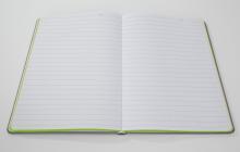 Linescape-LS201-hellgrau-lime-offen.jpg