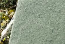 Grüne, texturierte Oberfläche neben Pflanzen und Steinen