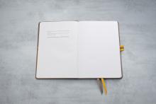linescape-braun-offen-Story.jpg