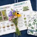 SIGEL: Zeit für ein Resümee im Garten